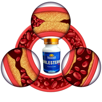 Proherbis Cholesterol Forte, kapsułki, 60 szt.