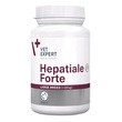 Vet Expert Hepatiale Forte Large Breed (+25 kg), preparat wspomagający funkcje wątroby dla psów dużych ras, tabletki, 40 szt.