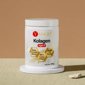 Yango Kolagen typu II, proszek, 300 g