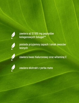 Essensey Kolagen Rybi Slim Formula, proszek, smak owoce leśne, 290 g