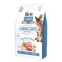 Brit Care Cat Grain-Free Large Cats, karma sucha dla dorosłych kotów dużych ras, kaczka i kurczak, 2 kg