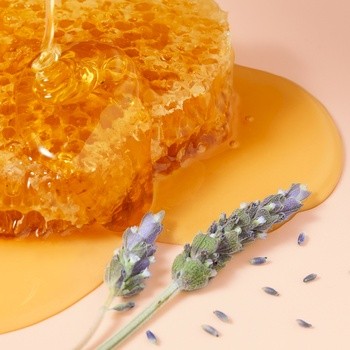 Nuxe Reve de Miel, ultraodżywczy i regenerujący balsam do ust z miodem, 15 g