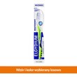 Elgydium Whitening soft, szczoteczka wybielająca do zębów, miękka, 1 szt.
