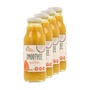 Zestaw 4x Plan by DOZ Smoothie o smaku dynia, kokos, 300 ml