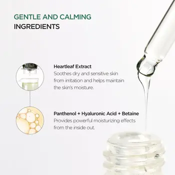 Anua Heartleaf 80% Moisture Soothing Ampoule, ampułki do twarzy, 10 ml