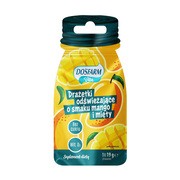 Dosfarm Vita, drażetki odświeżające o smaku mango i mięty, 24 szt. (19 g) https://azcdn.doz.pl/image/d/product/6b6b15fa-scale-180x180.png