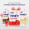 ALE Whey Protein Strawberry Flavor, proszek, 30 g