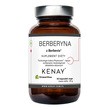 KENAY Berberyna Fitosomowa z Berbevis, kapsułki, 60 szt.