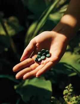 Biowen, Bio Algae Detox, tabletki, 240 szt.