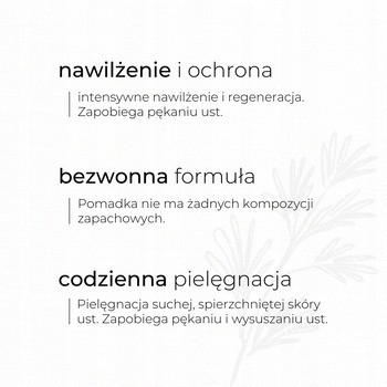 Sylveco, brzozowa pomadka z betuliną, 4,6 g