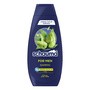Schauma For Men, szampon dla mężczyzn, 400 ml