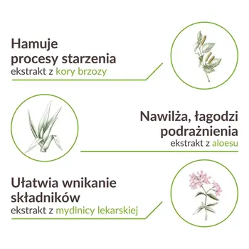 Sylveco, lekki krem brzozowy, 50 ml