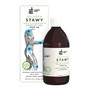 Healthy Herb Kolagen Stawy z kwasem hialuronowym, płyn, 500 ml