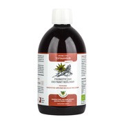 EKO Probiotyczny ekstrakt roślinny Zioła Jędrzeja Topinambur, płyn, 500 ml