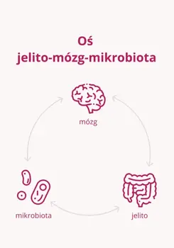 Omni Biotic Stress Repair 9, saszetki z proszkiem, 3 g x 56 szt.