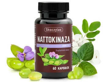 Skoczylas Nattokinaza 2000 FU, kapsułki, 60 szt.