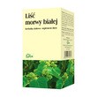 Liść morwy białej, herbatka ziołowa w saszetkach, 2g, 20 szt. (Flos)