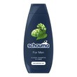 Schauma For Men, szampon dla mężczyzn, 400 ml