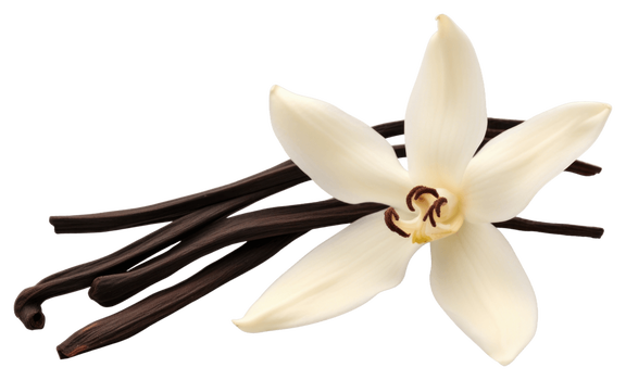 Wanilia płaskolistna: skład, występowanie i praktyczne zastosowania w kuchni i kosmetyce