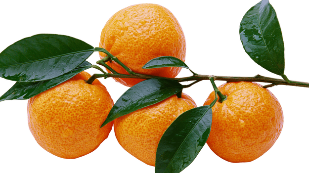 Tangerynka (tangelo) – właściwości, zastosowanie i skład