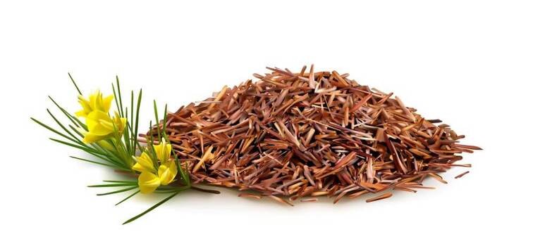 Rooibos - skład, właściwości i zastosowanie