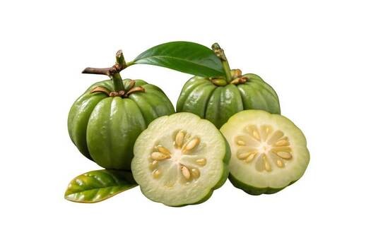 Garcinia cambogia – czy pomoże na odchudzanie?