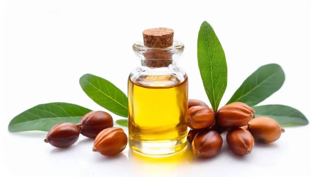 Olejek jojoba
