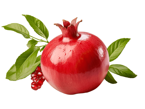 Granatowiec właściwy – występowanie, właściwości i zastosowanie